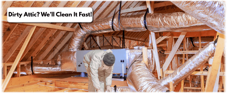 Attic Cleaning Homestead